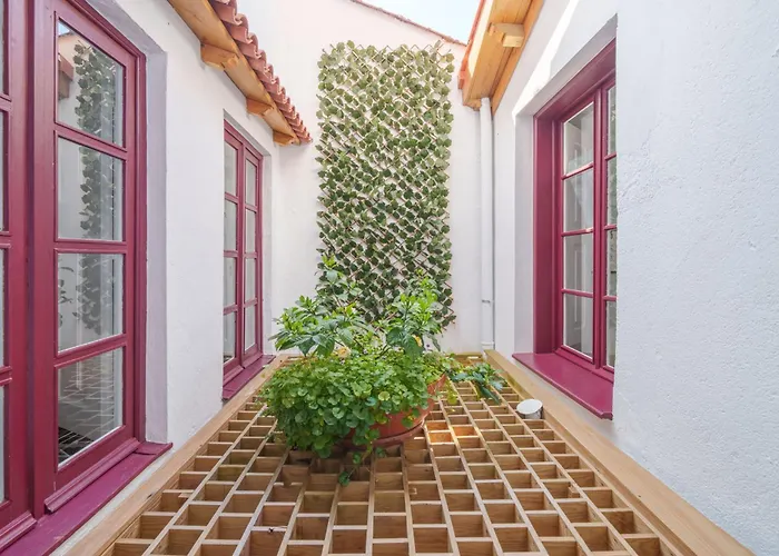 T1 De Charme - Pombal, Centro Historico Pombal